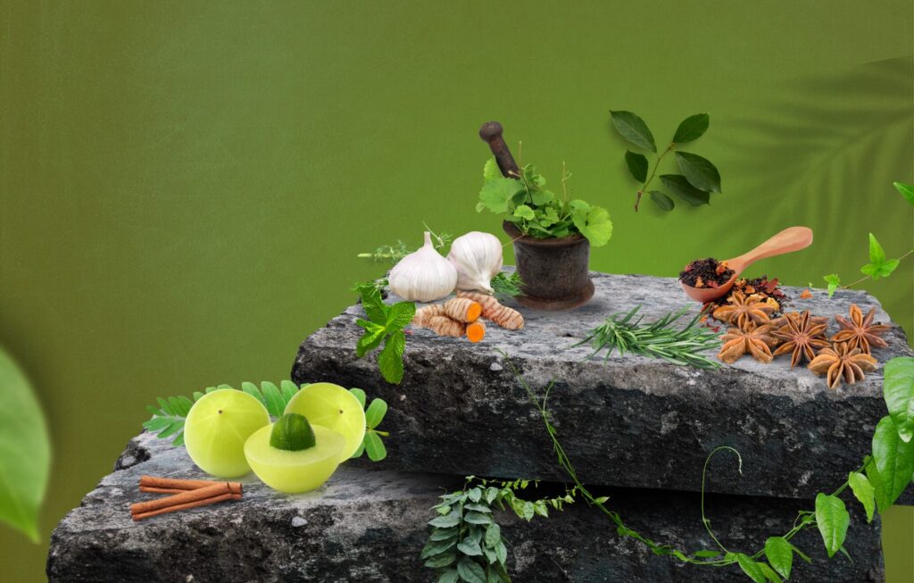 Ayurvedic Medicines By VaidyaShree